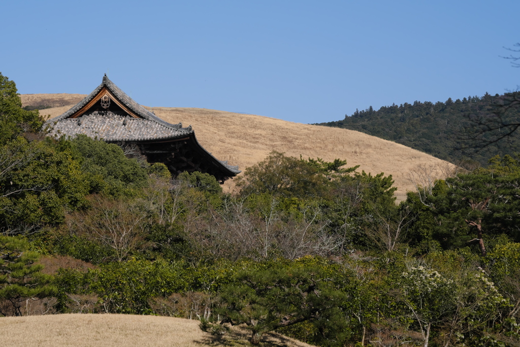 2021年　春の三笠山