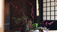 人日の節句 2