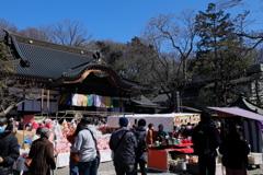 深大寺だるま市 1