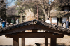 小さな屋根