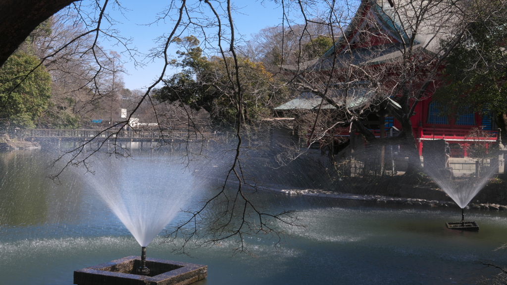 井の頭公園