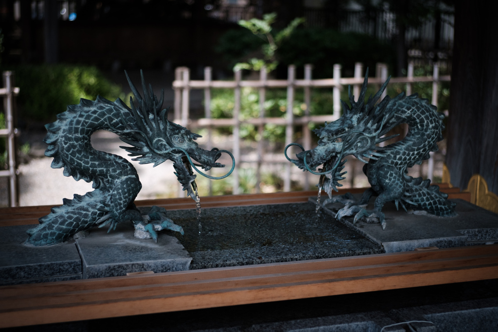 手水舎の龍