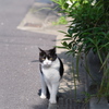 出会い