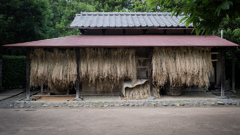 麦干しの候