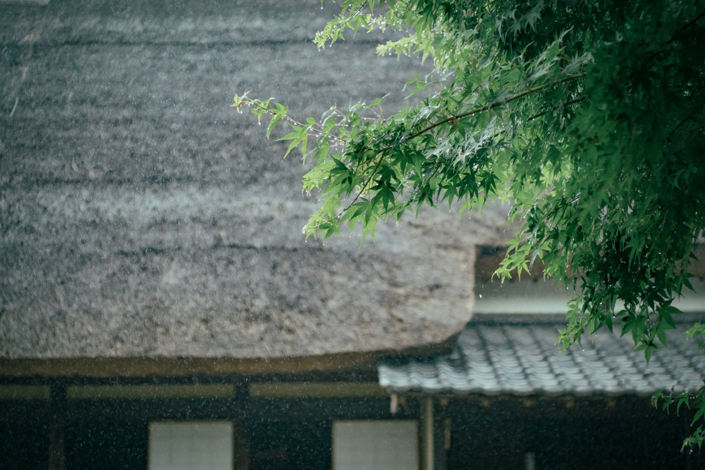 雨の日