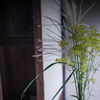 飾り花