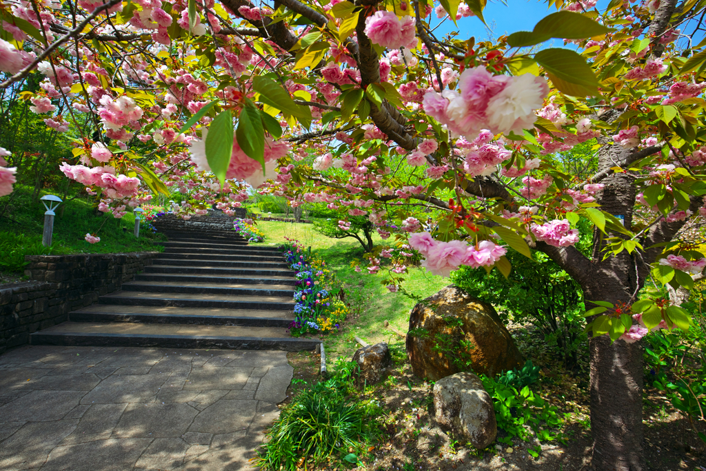 花の散歩道
