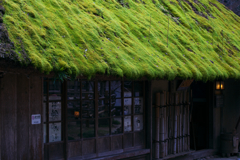 歴史を刻む