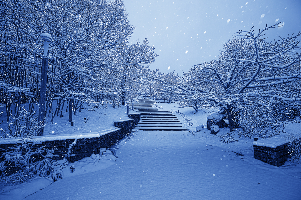 雪の散歩道