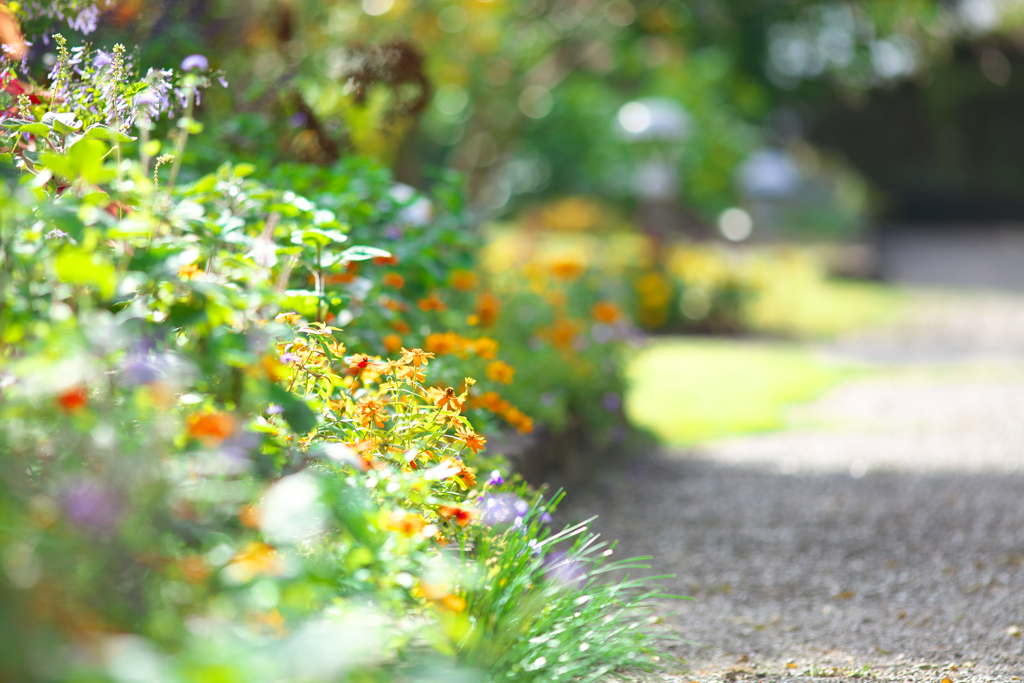 花の散歩道