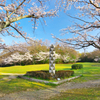 桜の季節
