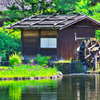 水辺風景