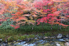 渓谷の彩り