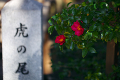 虎の尾橋