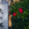 虎の尾橋