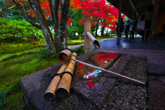 晩秋の彩