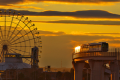 夕陽を浴びて