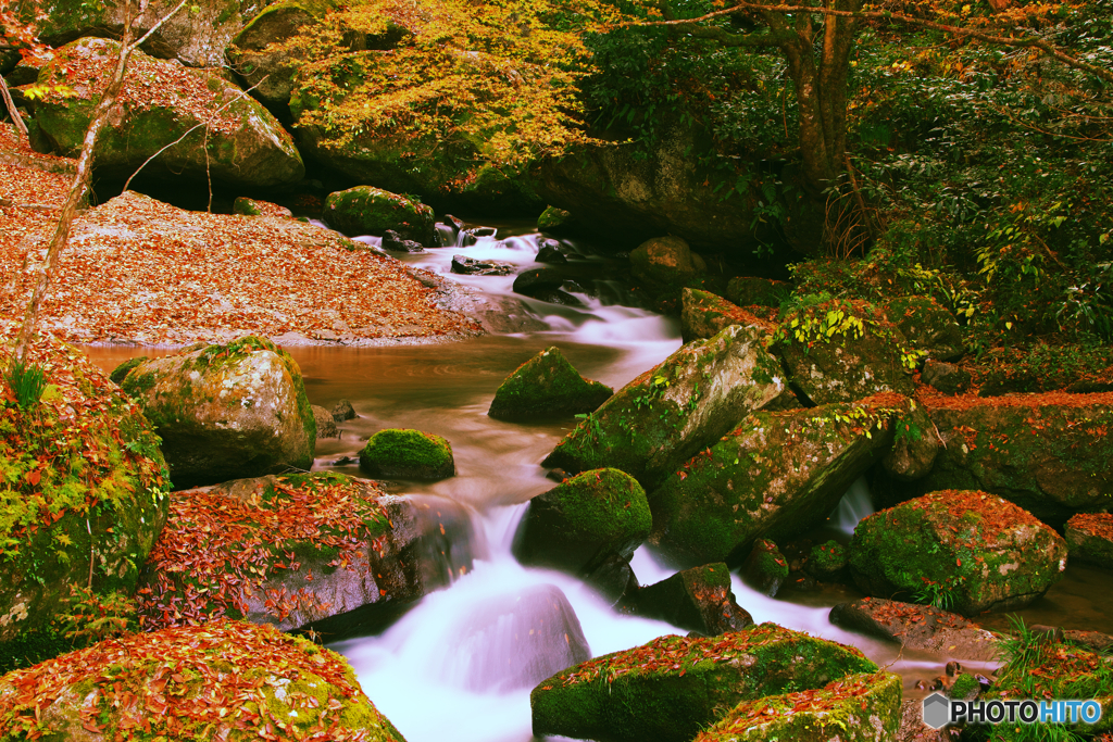 染まる渓流