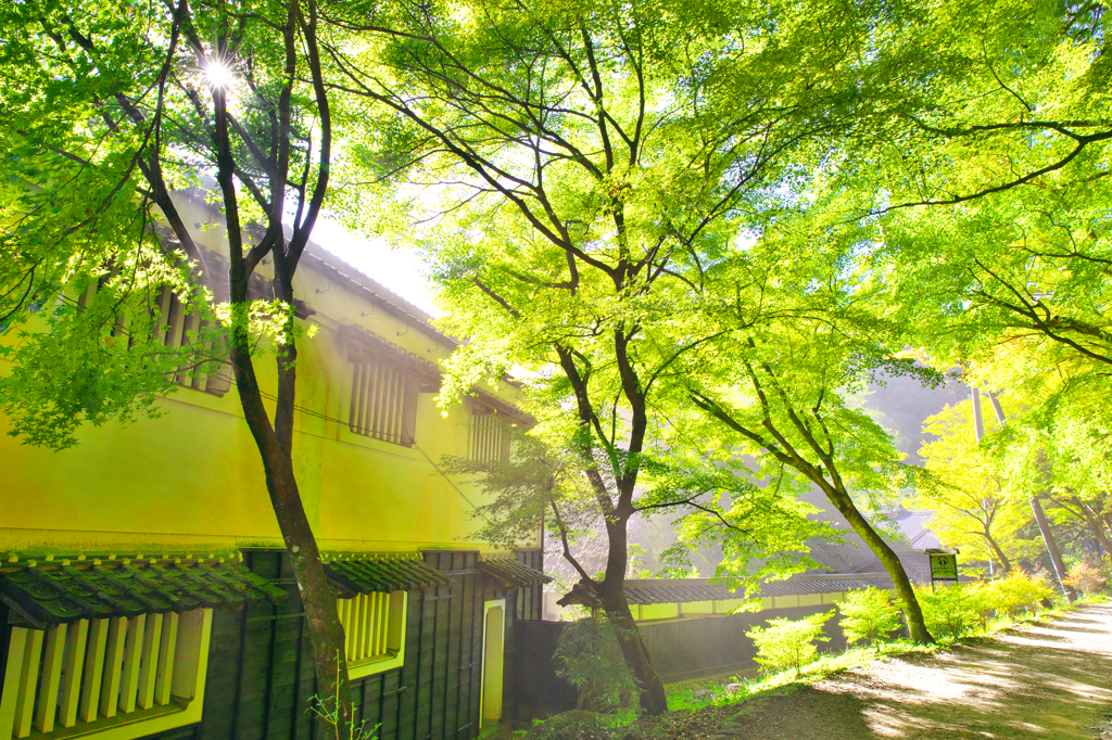 煙る香嵐渓
