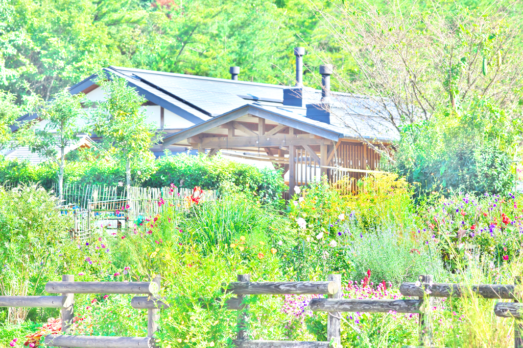 花のある暮らし