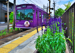 嵐電宇多野駅