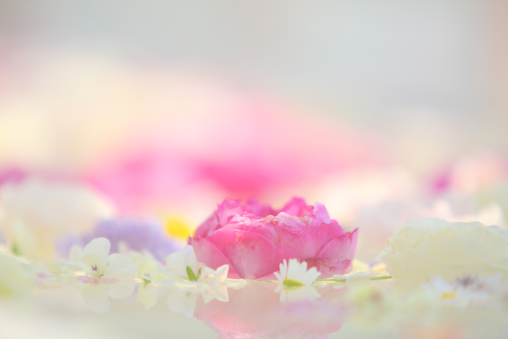 浮花