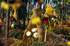 冬の徳川園
