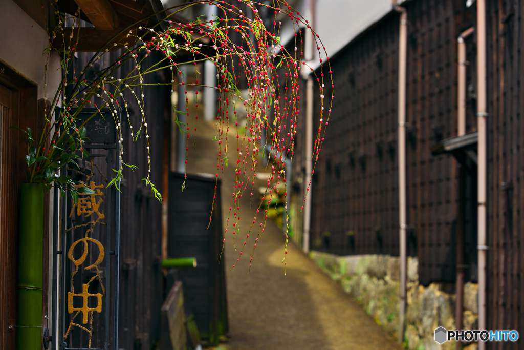 如月の小路