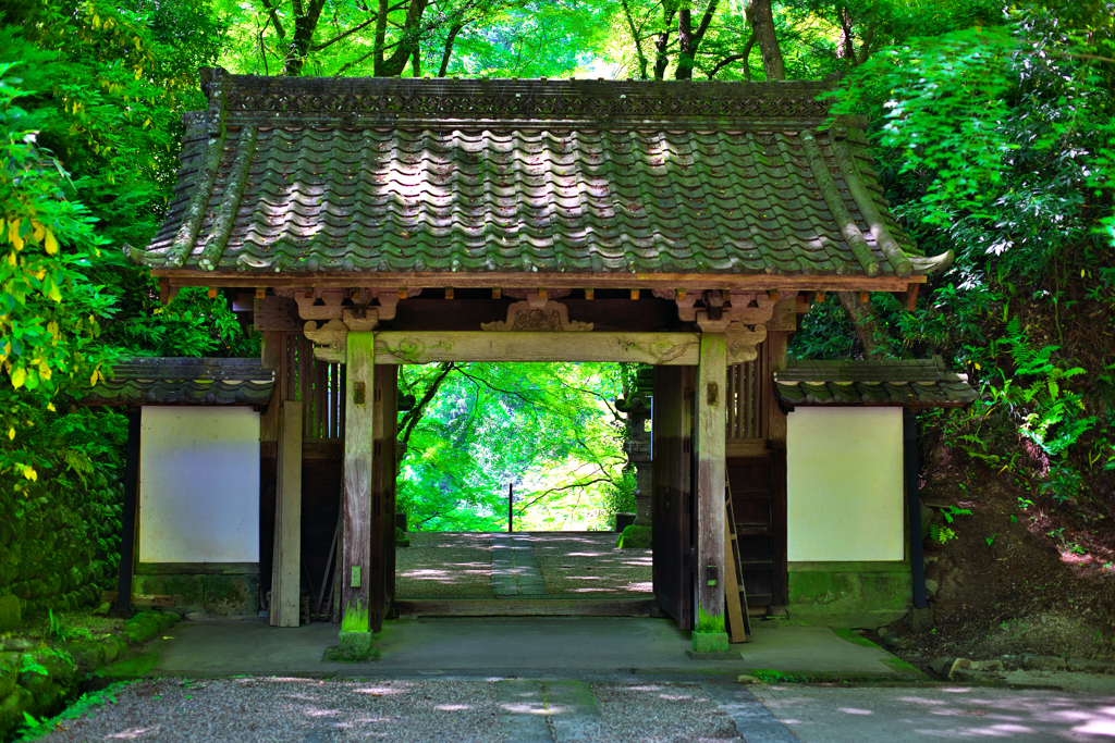 新緑の香嵐渓