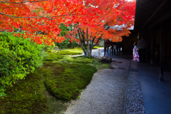 晩秋の彩
