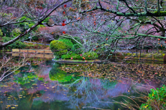 冬の龍安寺
