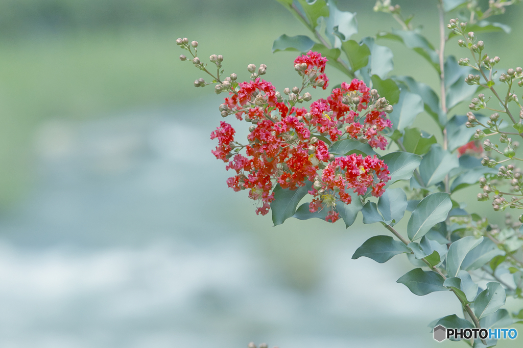 せせらぎを聞きながら