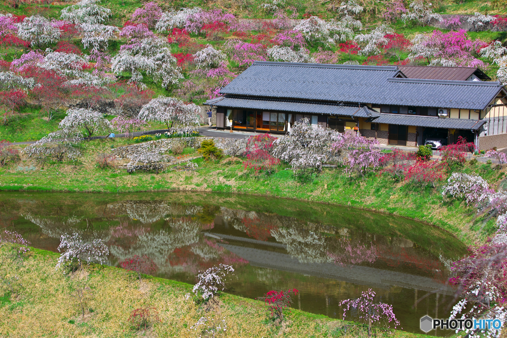 山里の春