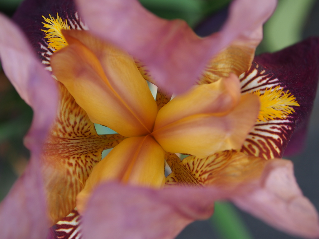 P1012602