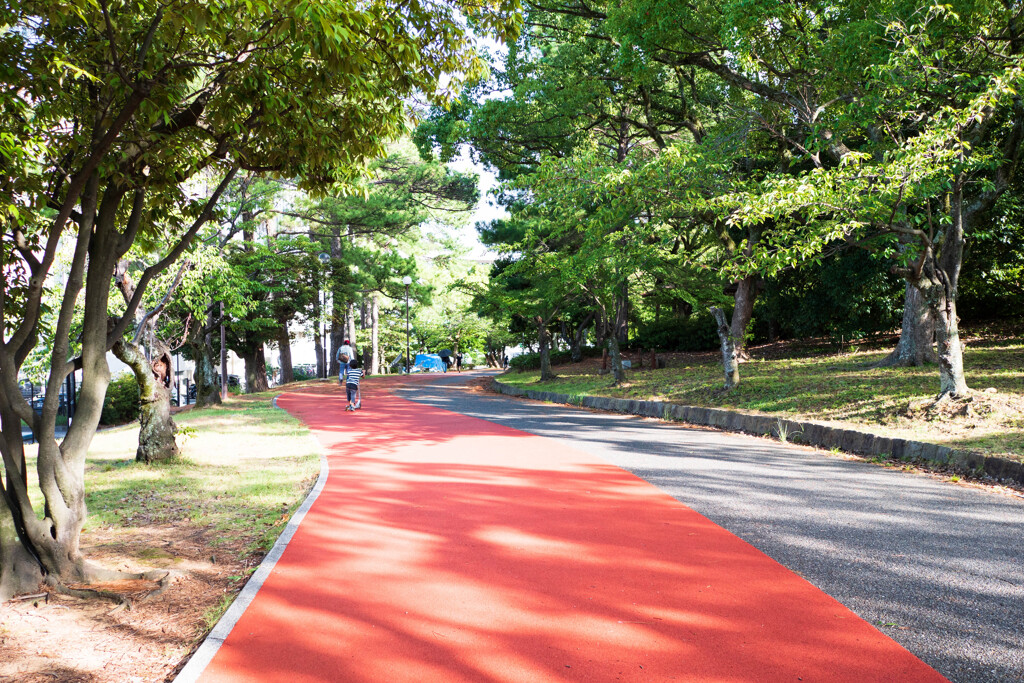 公園散歩道