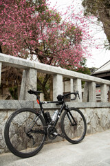 春日神社２