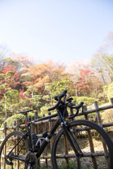 四王寺県民の森３