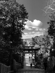 宮地嶽神社　海へ続く道を眺める