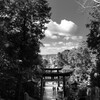 宮地嶽神社　海へ続く道を眺める