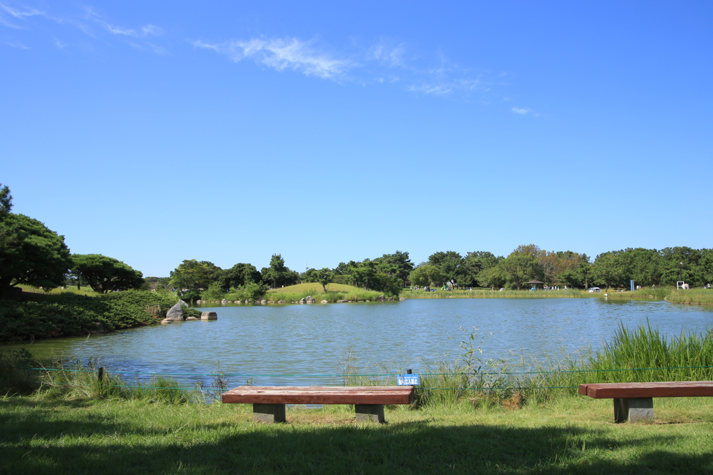 海の中道海浜公園の池