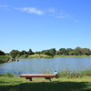 海の中道海浜公園の池