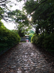 神社へ続く石畳