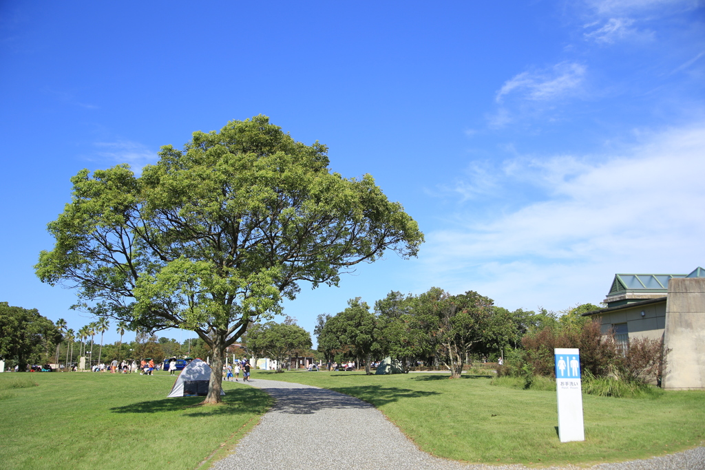 海浜公園の風景1