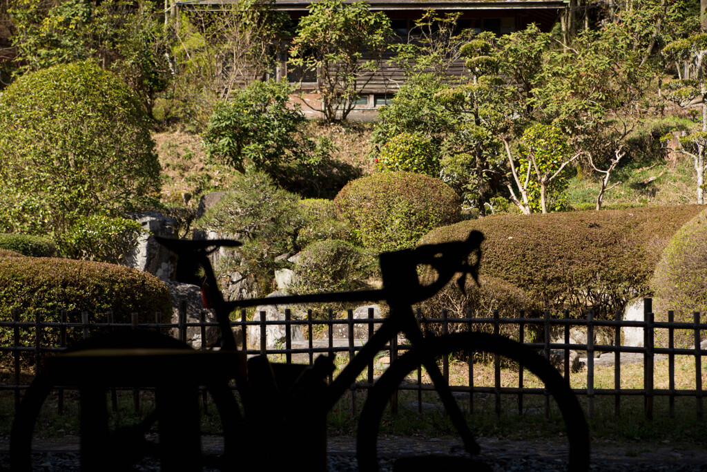四王寺県民の森２