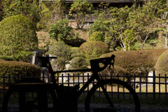 四王寺県民の森２