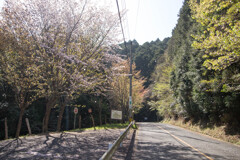 四王寺山入口２
