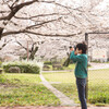 上牟田公園の桜４