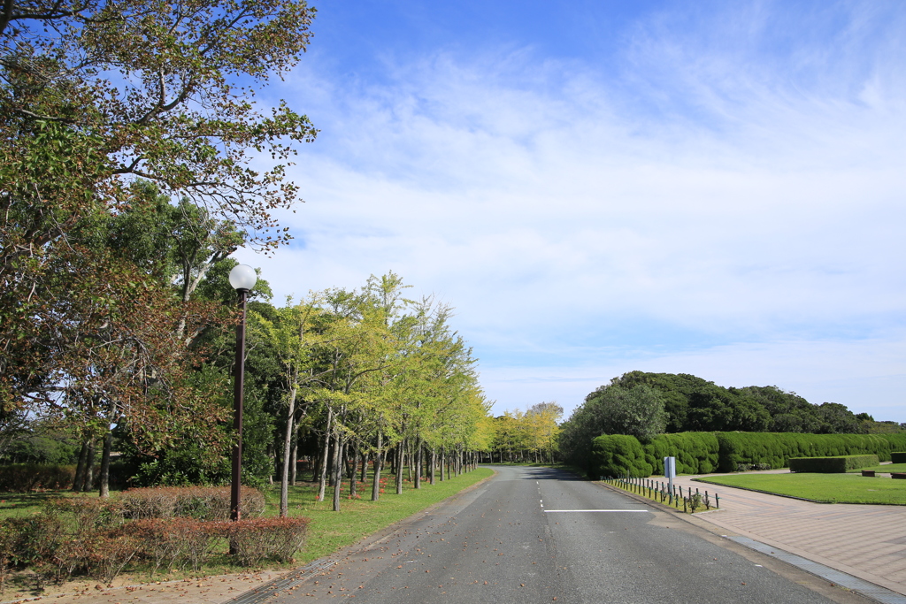 海浜公園の風景2