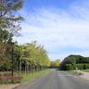海浜公園の風景2