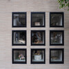 Nine Windows